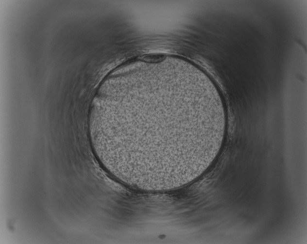 X0000101220385200807181556