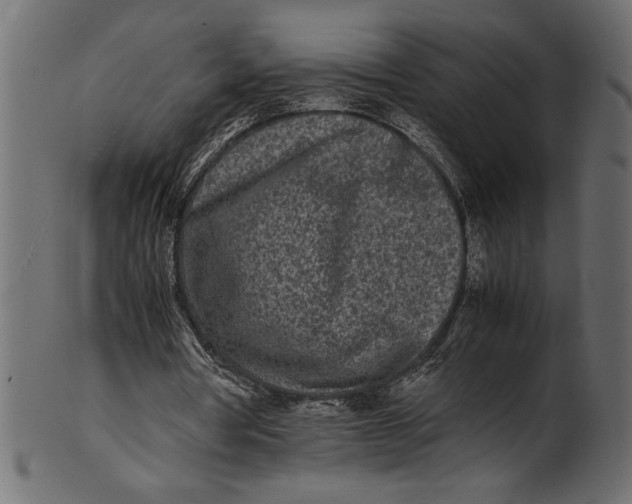 X0000101220386200807181556