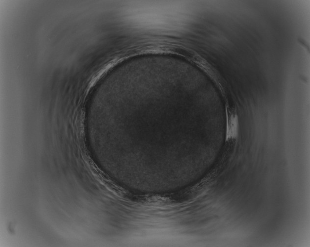 X0000101220387200807181556