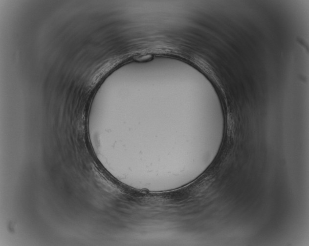 X0000101220389200807181556