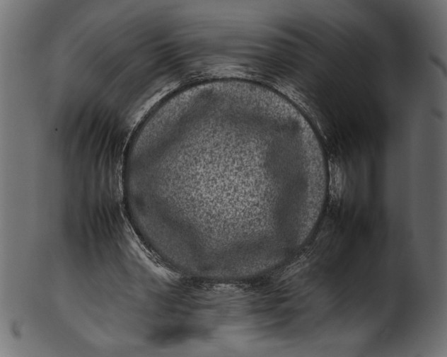 X0000101220390200807181556