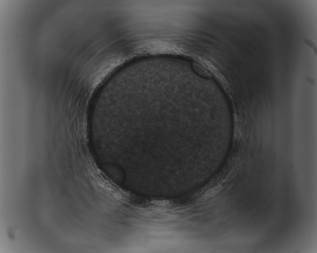 X0000101220391200807181556
