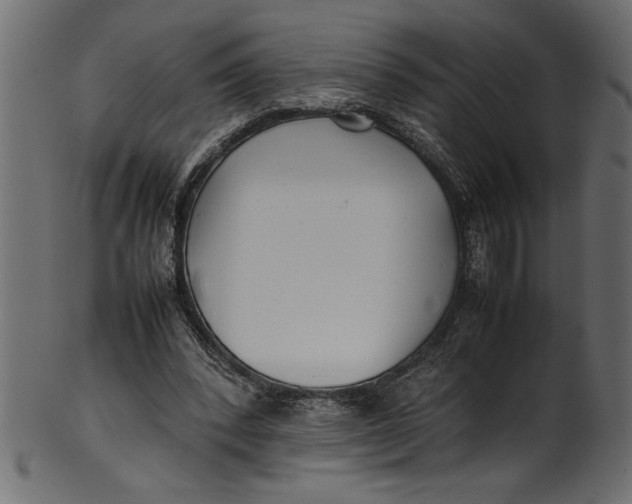 X0000101220392200807181556