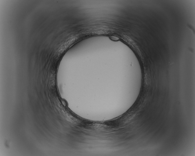 X0000101220393200807181556