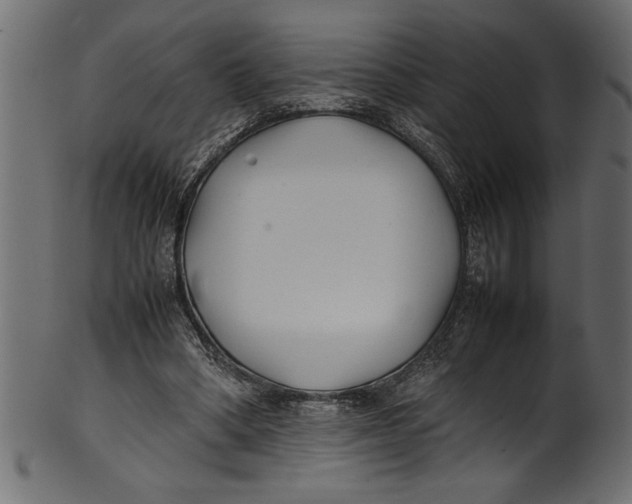 X0000101220394200807181556