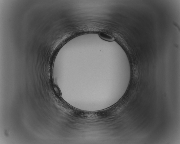 X0000101220395200807181556