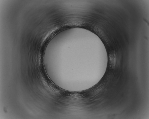 X0000101220396200807181556