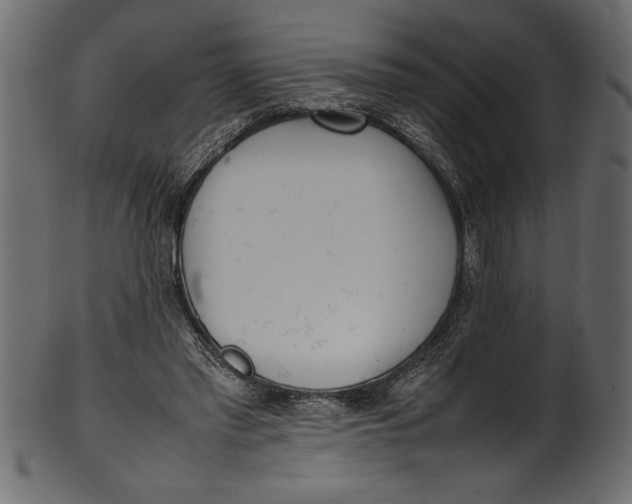X0000101220397200807181556