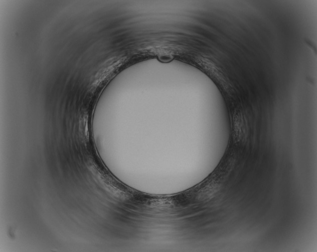 X0000101220398200807181556