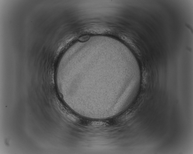 X0000101220399200807181556