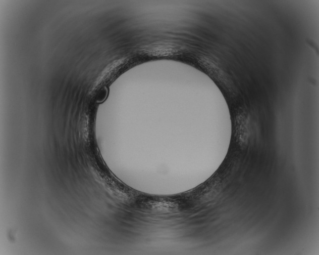 X0000101220400200807181556