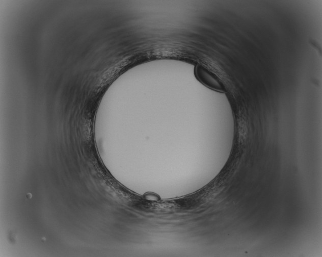X0000101220401200807181556