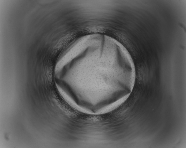 X0000101220402200807181556