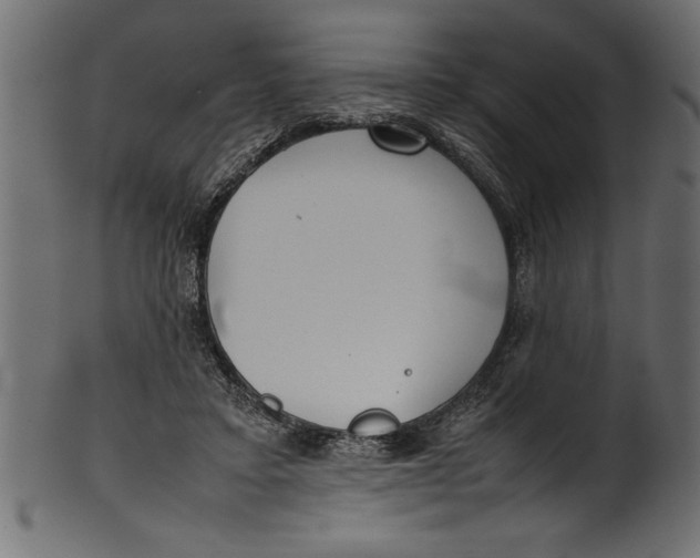 X0000101220403200807181556