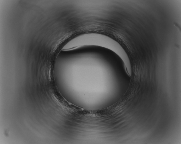 X0000101220404200807181556