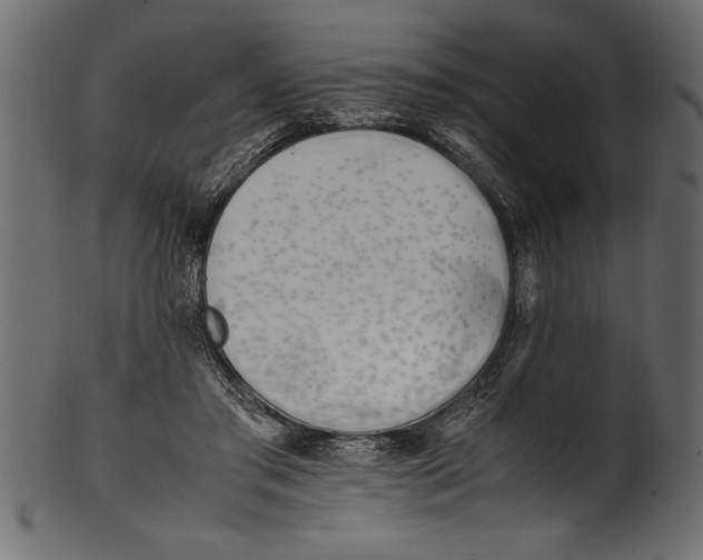 X0000101220405200807181556