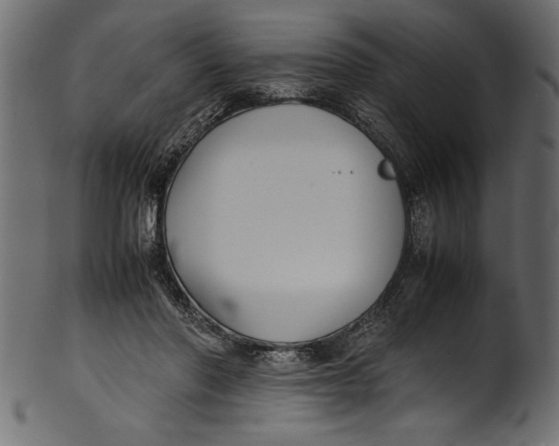 X0000101220406200807181556