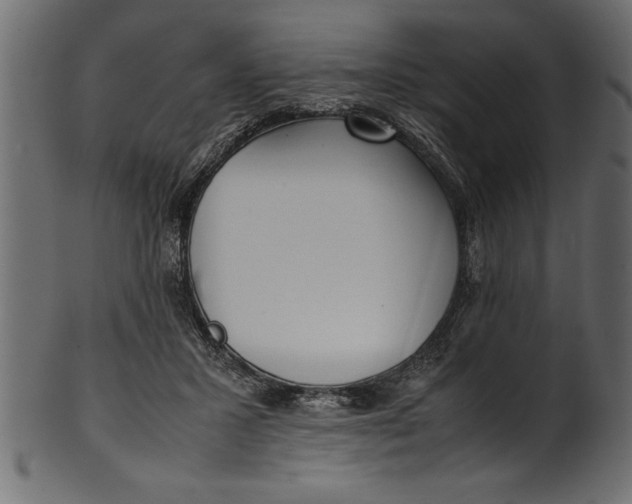 X0000101220407200807181556