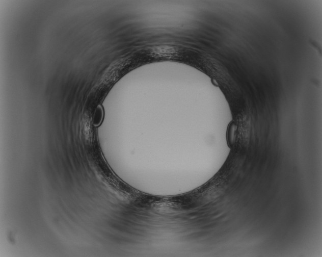 X0000101220408200807181556