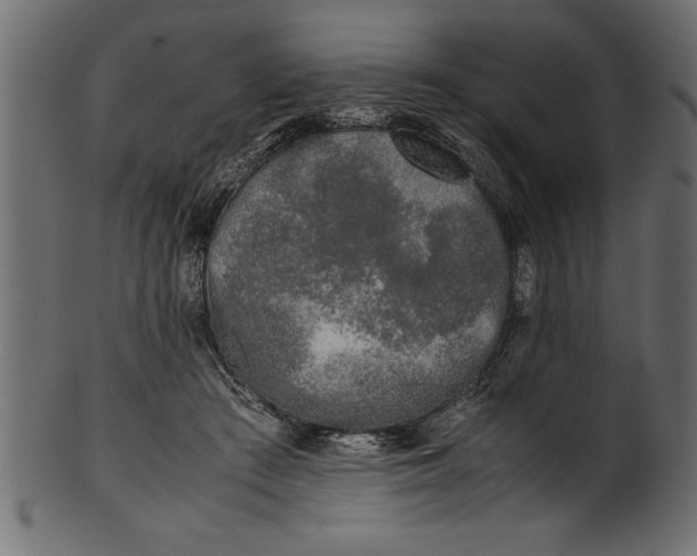 X0000101220409200807181556
