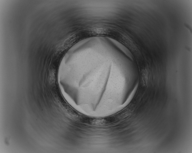 X0000101220410200807181556