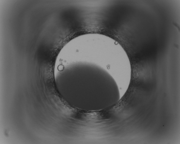 X0000101220411200807181556