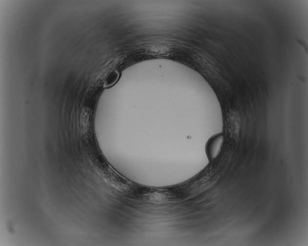 X0000101220412200807181556