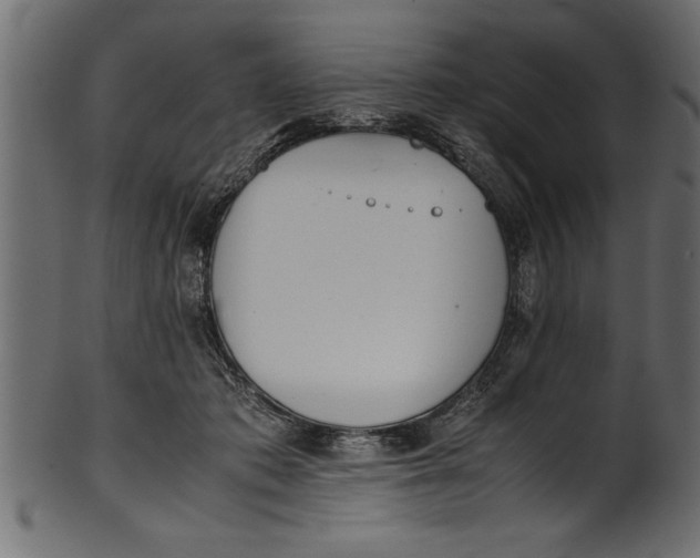 X0000101220413200807181556
