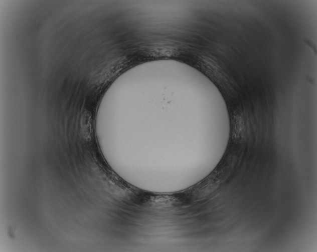 X0000101220414200807181556