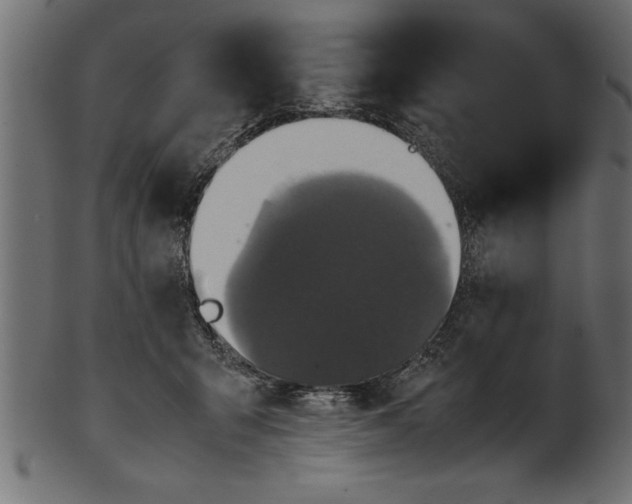 X0000101220415200807181556