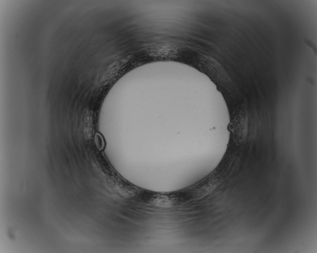 X0000101220416200807181556