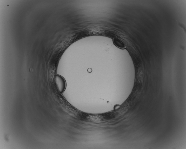 X0000101220417200807181556