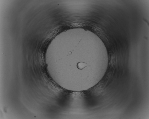 X0000101220418200807181556