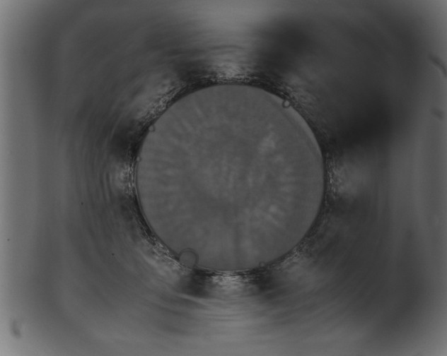 X0000101220419200807181556