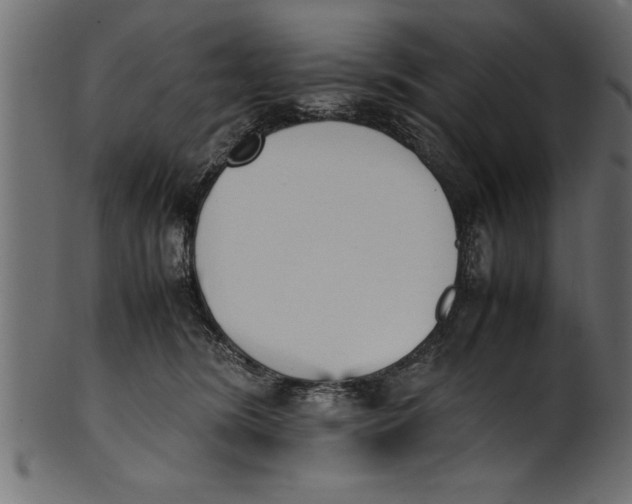 X0000101220420200807181556