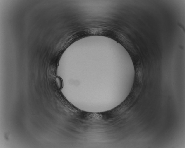 X0000101220421200807181556