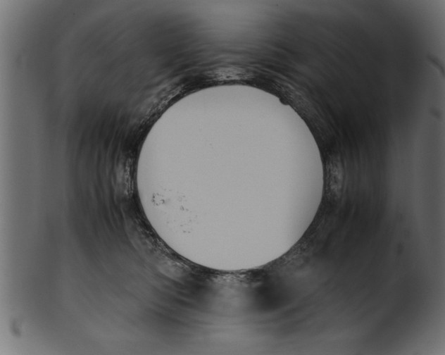 X0000101220422200807181556