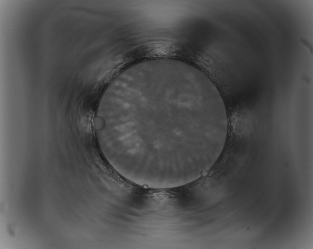 X0000101220423200807181556