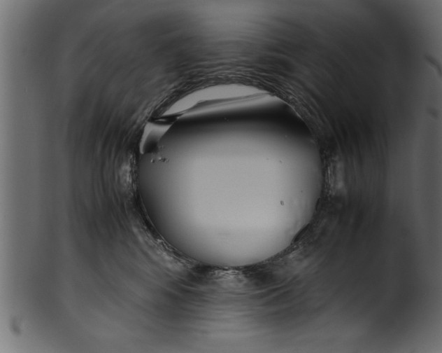 X0000101220424200807181556