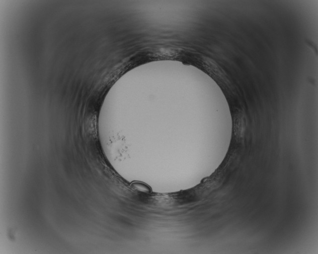 X0000101220425200807181556