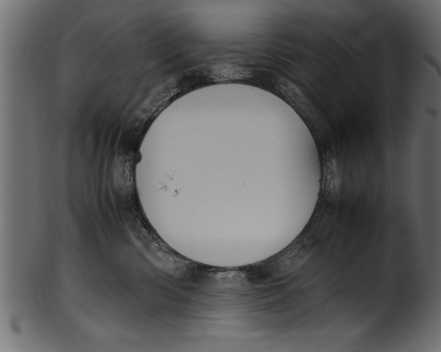 X0000101220426200807181556