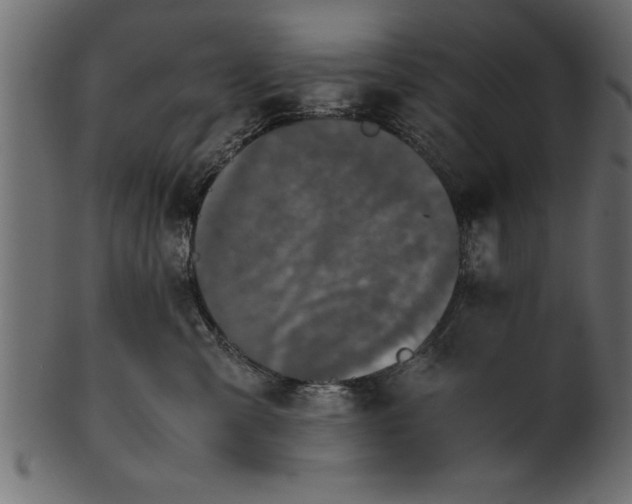 X0000101220427200807181556