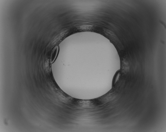 X0000101220428200807181556