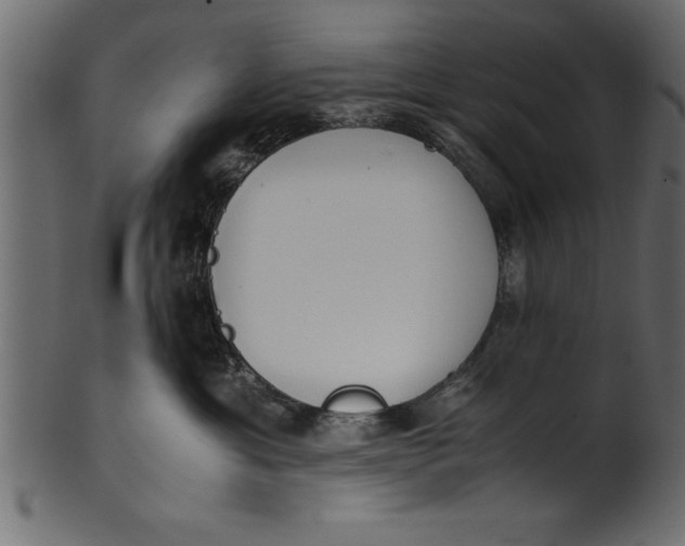 X0000101220429200807181556