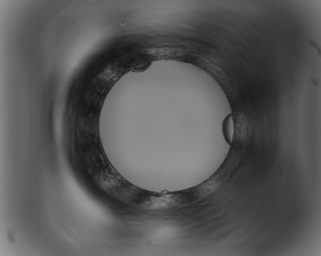 X0000101220430200807181556