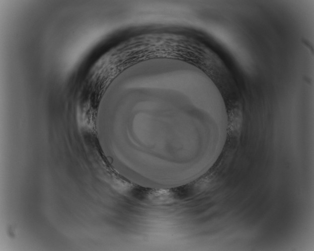 X0000101220431200807181556