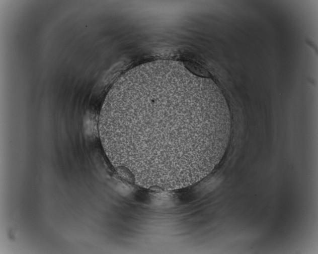 X0000101220432200807181556
