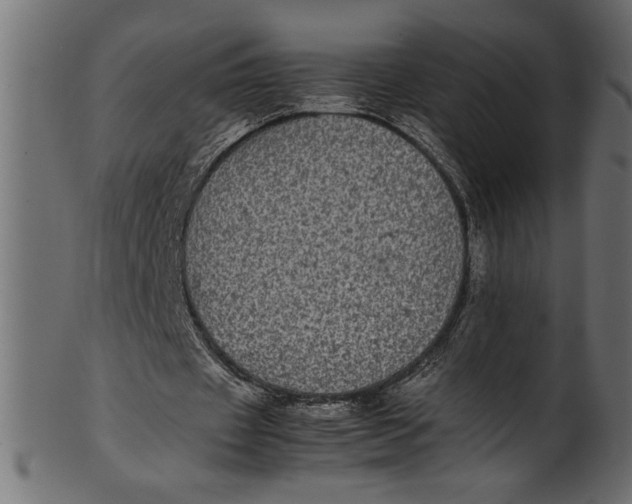 X0000101220433200807181555
