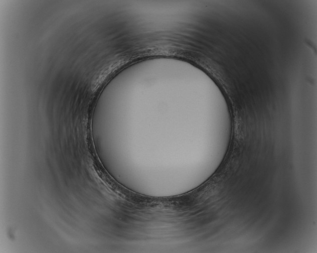 X0000101220434200807181555