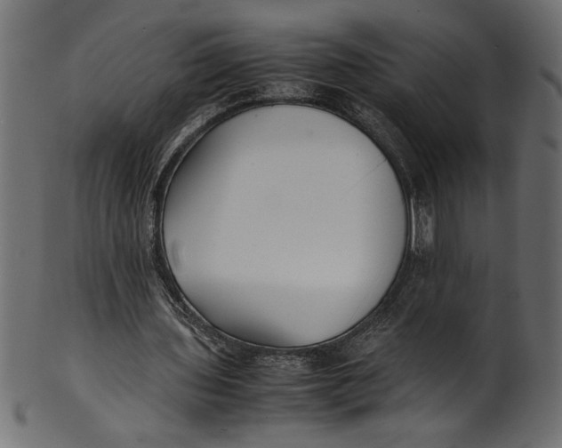 X0000101220435200807181555